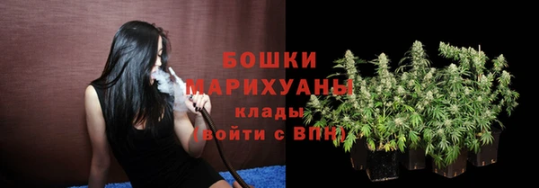 дмт Сатка