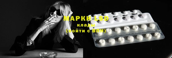 дмт Сатка