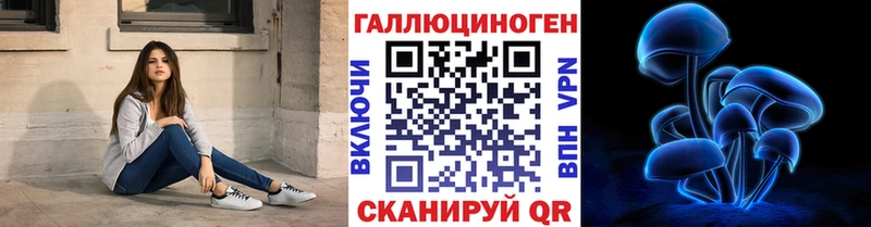 Купить закладки  Шатура  Псилоцибиновые грибы мухоморы 
